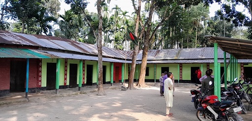 image-here